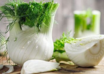 Eating Fennel: Is It Really Good for Our Body?